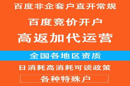 百度信息流广告推广：成功案例解析
